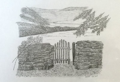 Alan Firth pencil drawings 